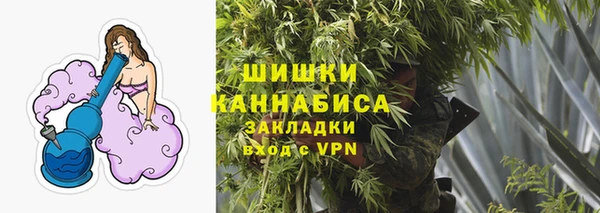 PSILOCYBIN Балахна